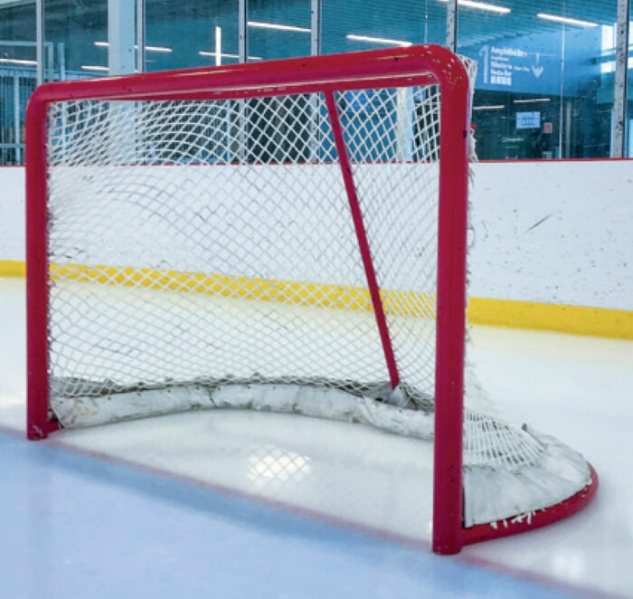 But de hockey en aluminium - Image 3